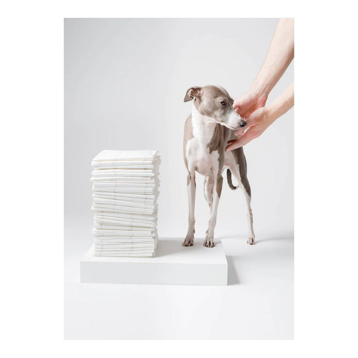 Doggy Bathroom Pee Pads for Dogs｜狗狗尿墊｜加拿大直送 主產品圖
