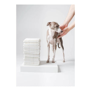 Doggy Bathroom Pee Pads for Dogs｜狗狗尿墊｜加拿大直送 主產品圖