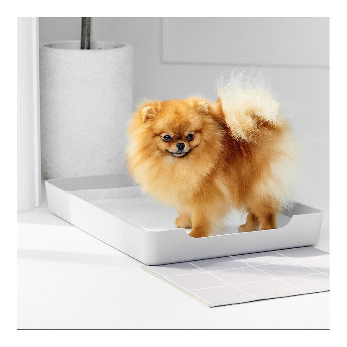 Doggy Bathroom Dog Pee Pad Holder Doggy Bathroom Tray｜狗狗尿墊｜加拿大直送 主產品圖