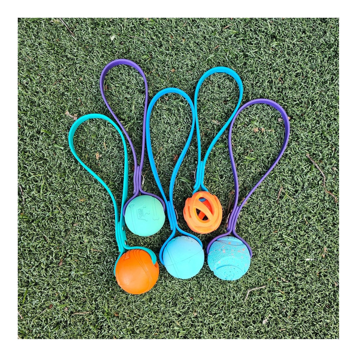 Get Dirty Pet Gear Toss & Play BioThane Ball Tug｜狗狗玩具｜加拿大直送-狗-毛孩物語Pets Thing｜香港寵物貓狗用品專門店：IATA寵物飛機籠、寵物手推車、貓爬架貓樹
