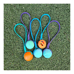 Get Dirty Pet Gear Toss & Play BioThane Ball Tug｜狗狗玩具｜加拿大直送-狗-毛孩物語Pets Thing｜香港寵物貓狗用品專門店：IATA寵物飛機籠、寵物手推車、貓爬架貓樹
