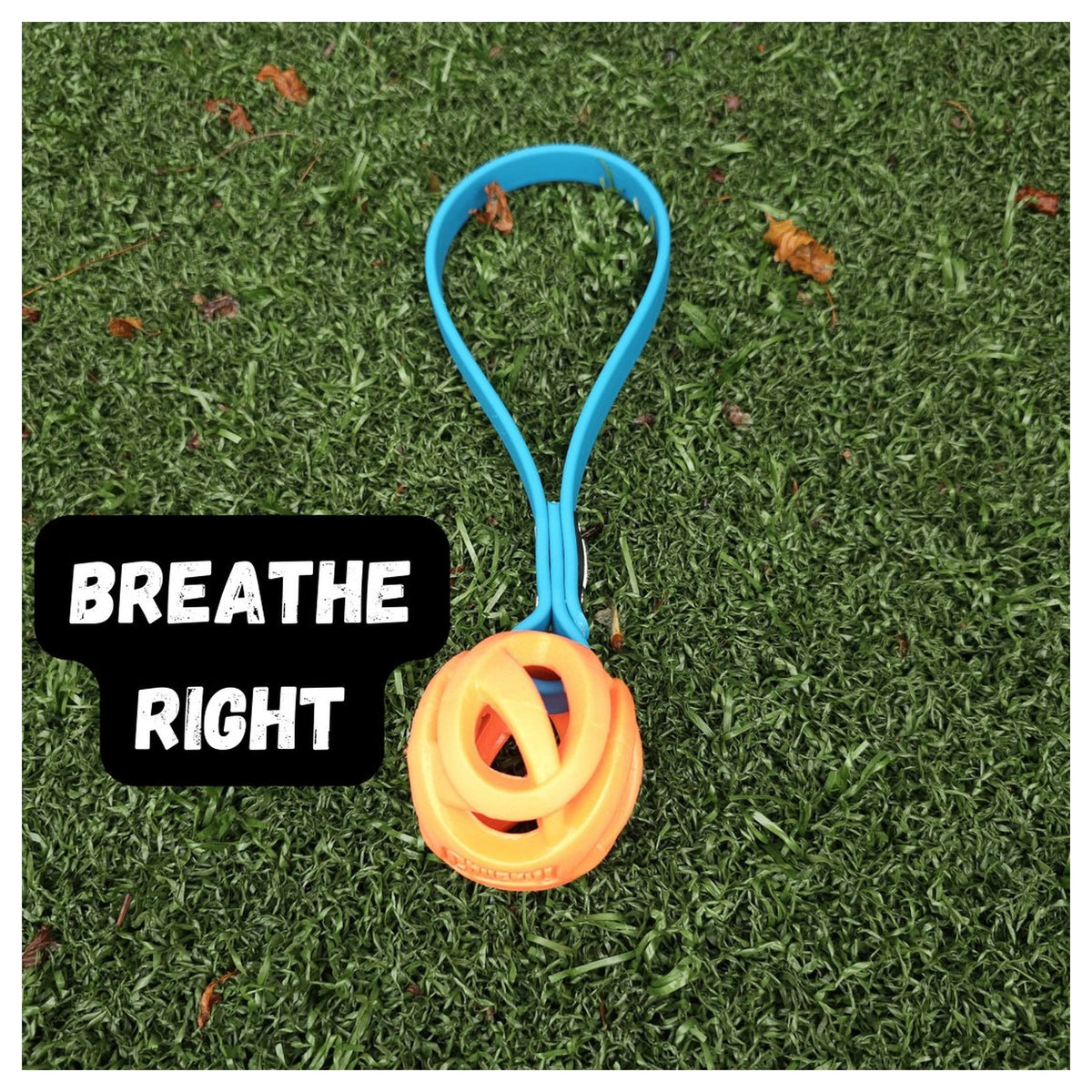 Get Dirty Pet Gear Toss & Play BioThane Ball Tug｜狗狗玩具｜加拿大直送-狗-毛孩物語Pets Thing｜香港寵物貓狗用品專門店：IATA寵物飛機籠、寵物手推車、貓爬架貓樹
