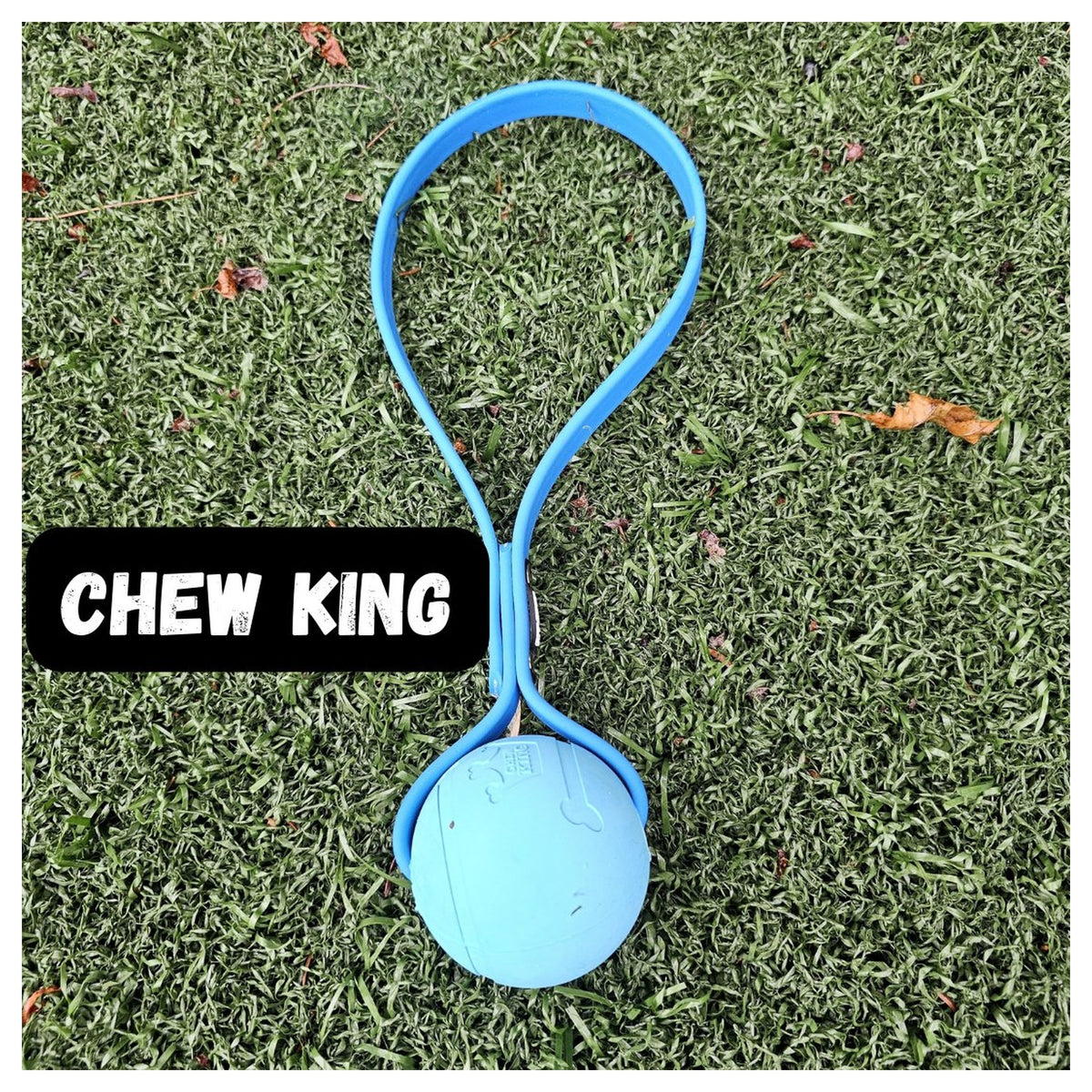 Get Dirty Pet Gear Toss & Play BioThane Ball Tug｜狗狗玩具｜加拿大直送-狗-毛孩物語Pets Thing｜香港寵物貓狗用品專門店：IATA寵物飛機籠、寵物手推車、貓爬架貓樹