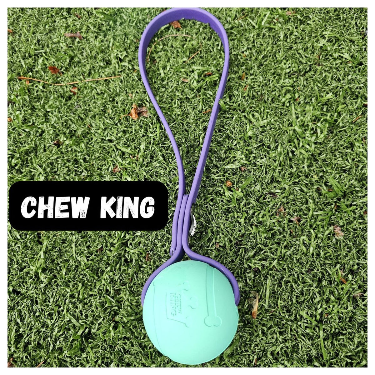 Get Dirty Pet Gear Toss & Play BioThane Ball Tug｜狗狗玩具｜加拿大直送-狗-毛孩物語Pets Thing｜香港寵物貓狗用品專門店：IATA寵物飛機籠、寵物手推車、貓爬架貓樹