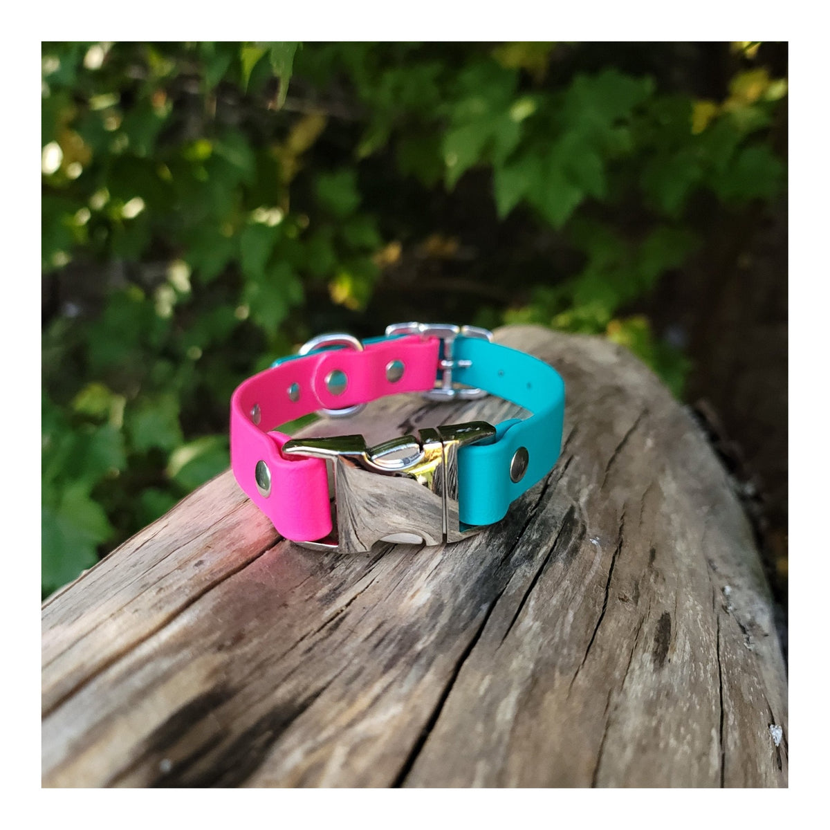 Get Dirty Pet Gear 3/4" Wide Dual Clip Biothane Collar｜狗狗頸圈｜加拿大直送-寵物頸圈-毛孩物語Pets Thing｜香港寵物貓狗用品專門店：IATA寵物飛機籠、寵物手推車、貓爬架貓樹