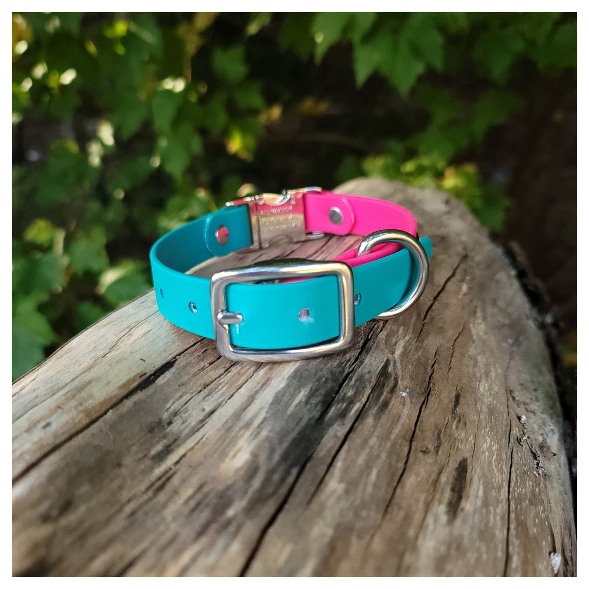 Get Dirty Pet Gear 3/4" Wide Dual Clip Biothane Collar｜狗狗頸圈｜加拿大直送-寵物頸圈-毛孩物語Pets Thing｜香港寵物貓狗用品專門店：IATA寵物飛機籠、寵物手推車、貓爬架貓樹