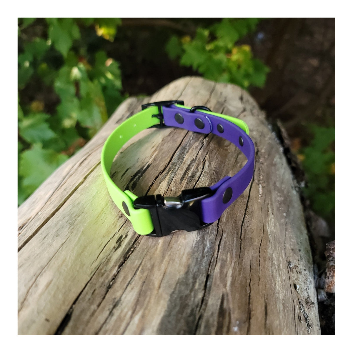 Get Dirty Pet Gear 5/8" Wide Dual Clip Biothane Collar｜狗狗頸圈｜加拿大直送-寵物頸圈-毛孩物語Pets Thing｜香港寵物貓狗用品專門店：IATA寵物飛機籠、寵物手推車、貓爬架貓樹