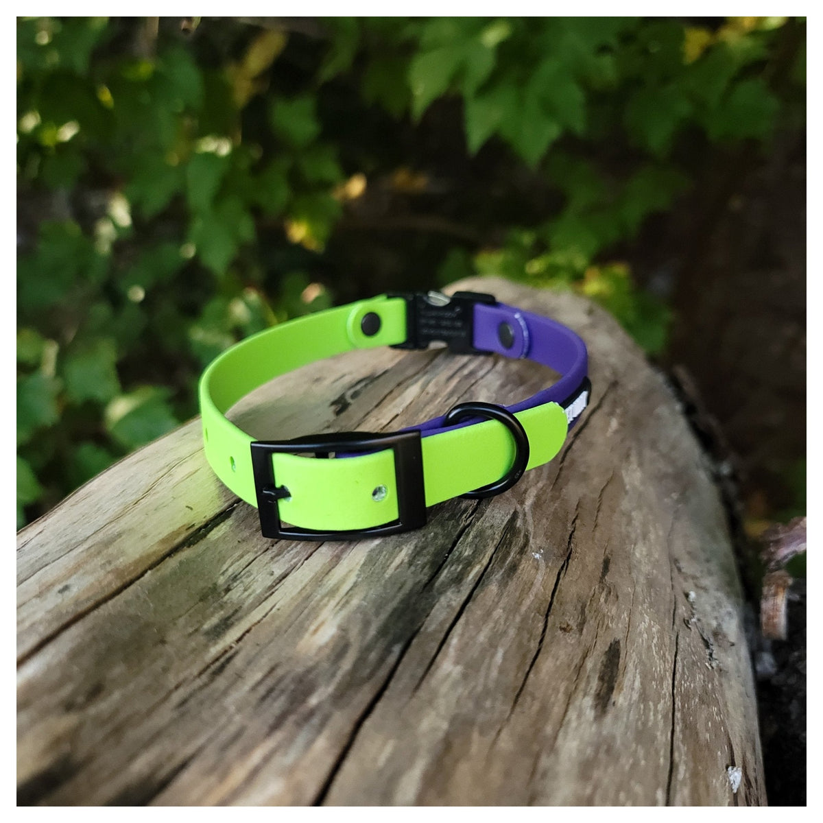 Get Dirty Pet Gear 5/8" Wide Dual Clip Biothane Collar｜狗狗頸圈｜加拿大直送-寵物頸圈-毛孩物語Pets Thing｜香港寵物貓狗用品專門店：IATA寵物飛機籠、寵物手推車、貓爬架貓樹
