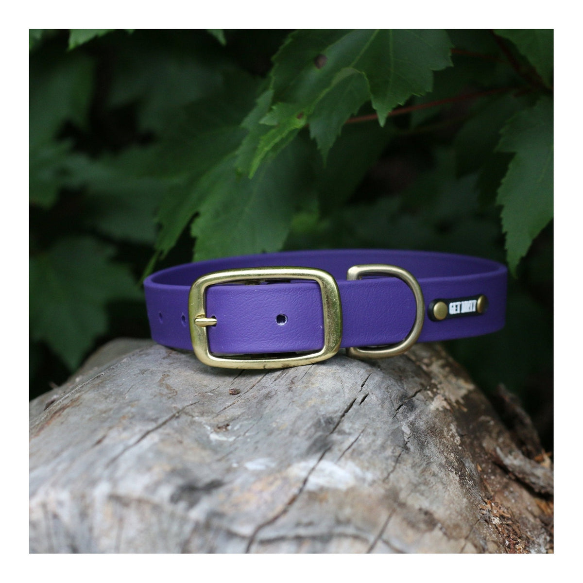 Get Dirty Pet Gear 1" Wide Traditional Buckle Biothane Collar｜狗狗頸圈｜加拿大直送 主產品圖