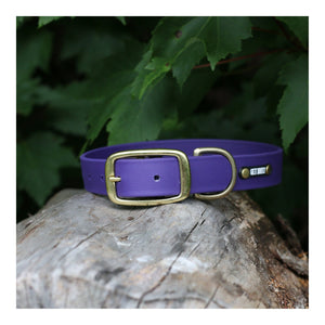 Get Dirty Pet Gear 1" Wide Traditional Buckle Biothane Collar｜狗狗頸圈｜加拿大直送 主產品圖