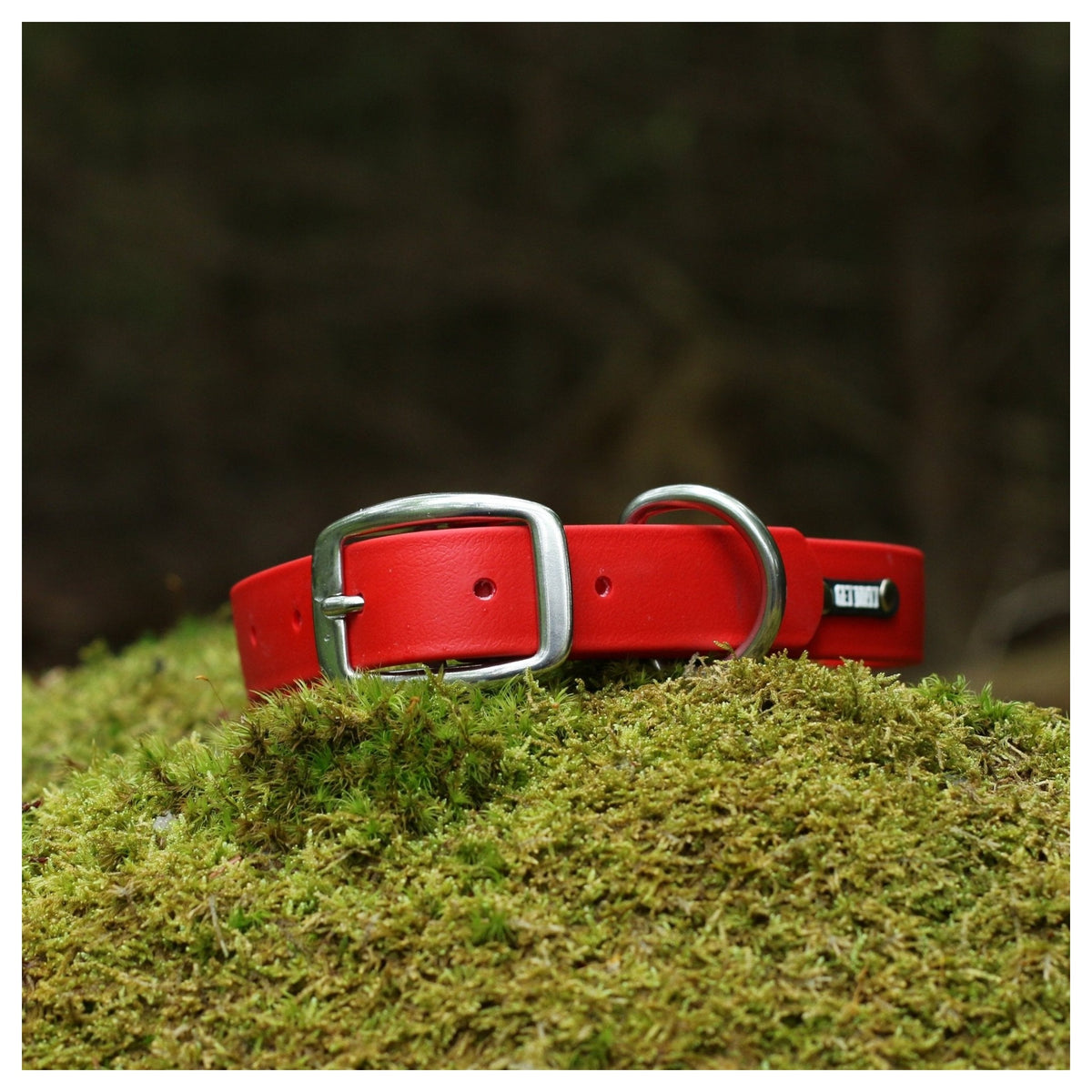 Get Dirty Pet Gear 1" Wide Traditional Buckle Biothane Collar｜狗狗頸圈｜加拿大直送 產品細節圖 2