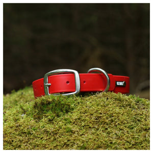 Get Dirty Pet Gear 1" Wide Traditional Buckle Biothane Collar｜狗狗頸圈｜加拿大直送 產品細節圖 2