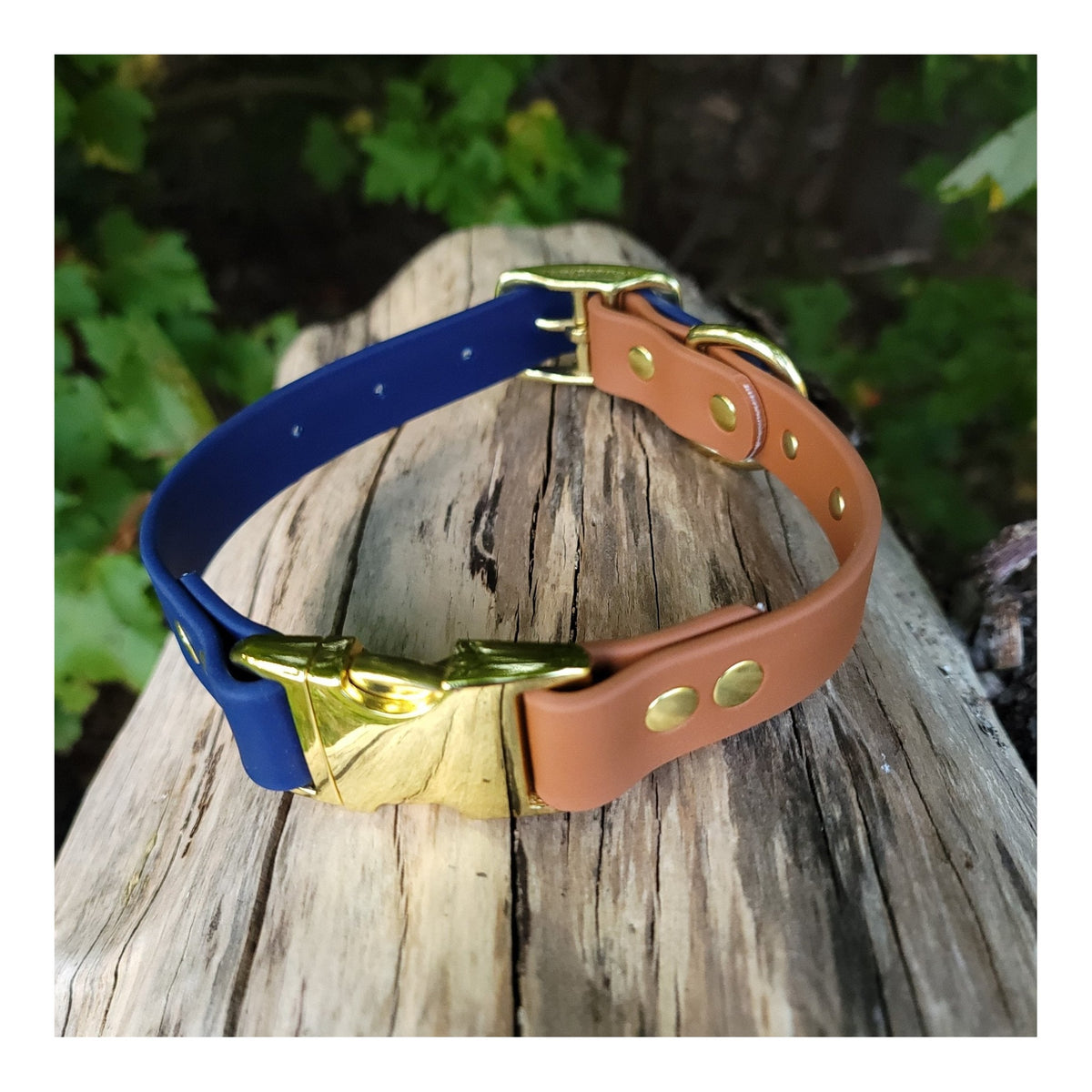 Get Dirty Pet Gear 1" Wide Dual Clip Biothane Collar｜狗狗頸圈｜加拿大直送 主產品圖