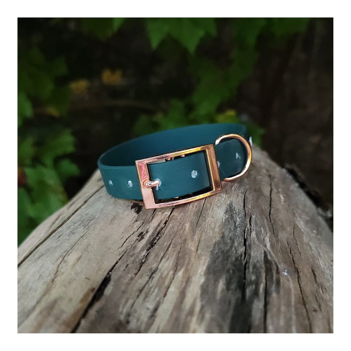 Get Dirty Pet Gear 3/4" Wide Traditional Buckle Biothane Dog Collar｜狗狗頸圈｜加拿大直送 主產品圖