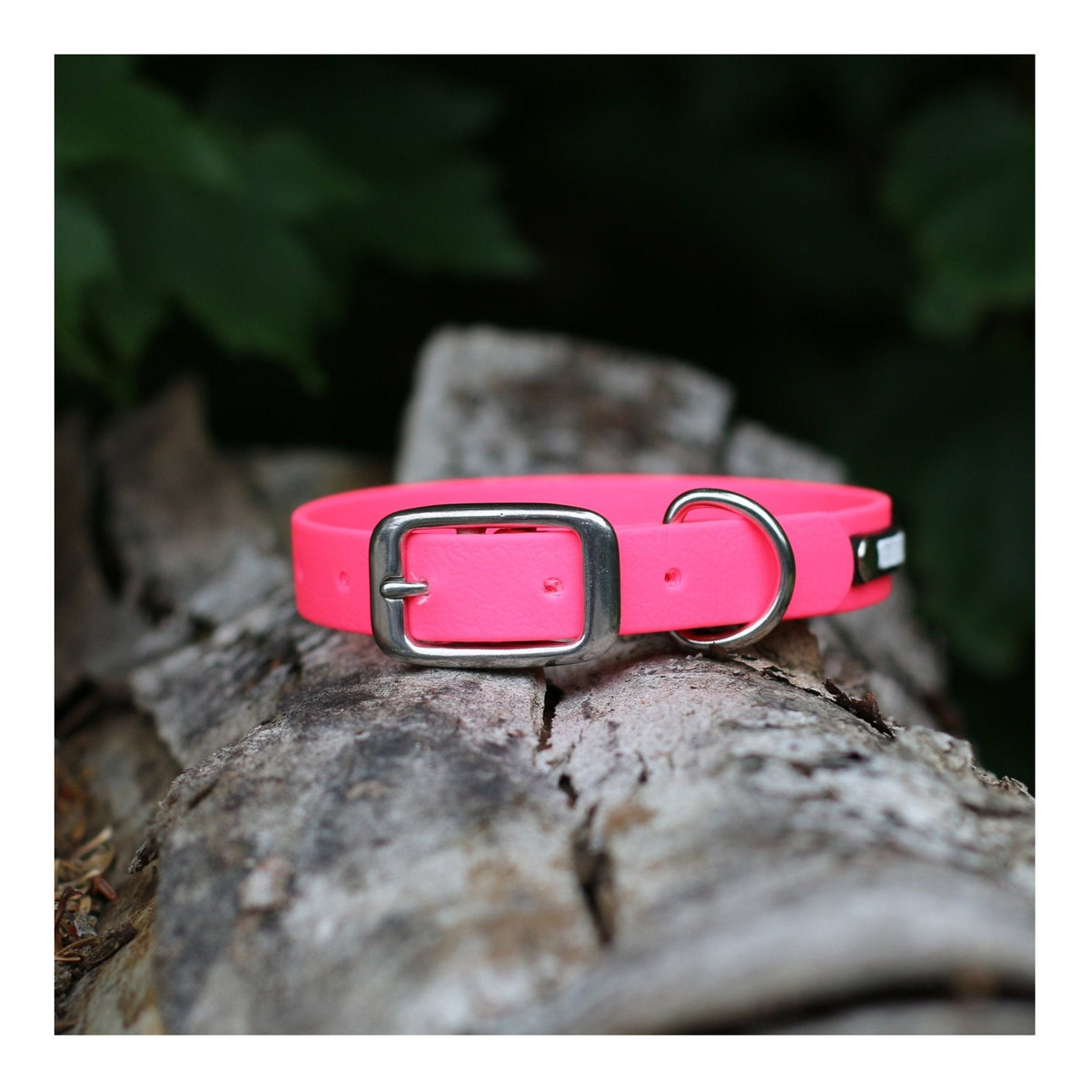 Get Dirty Pet Gear 5/8" Wide Traditional Buckle Biothane Dog Collar｜狗狗頸圈｜加拿大直送 主產品圖
