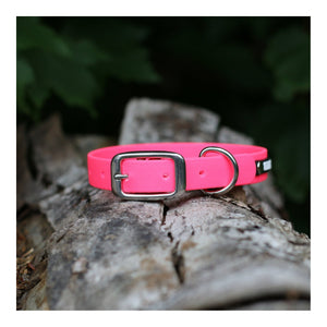 Get Dirty Pet Gear 5/8" Wide Traditional Buckle Biothane Dog Collar｜狗狗頸圈｜加拿大直送 主產品圖