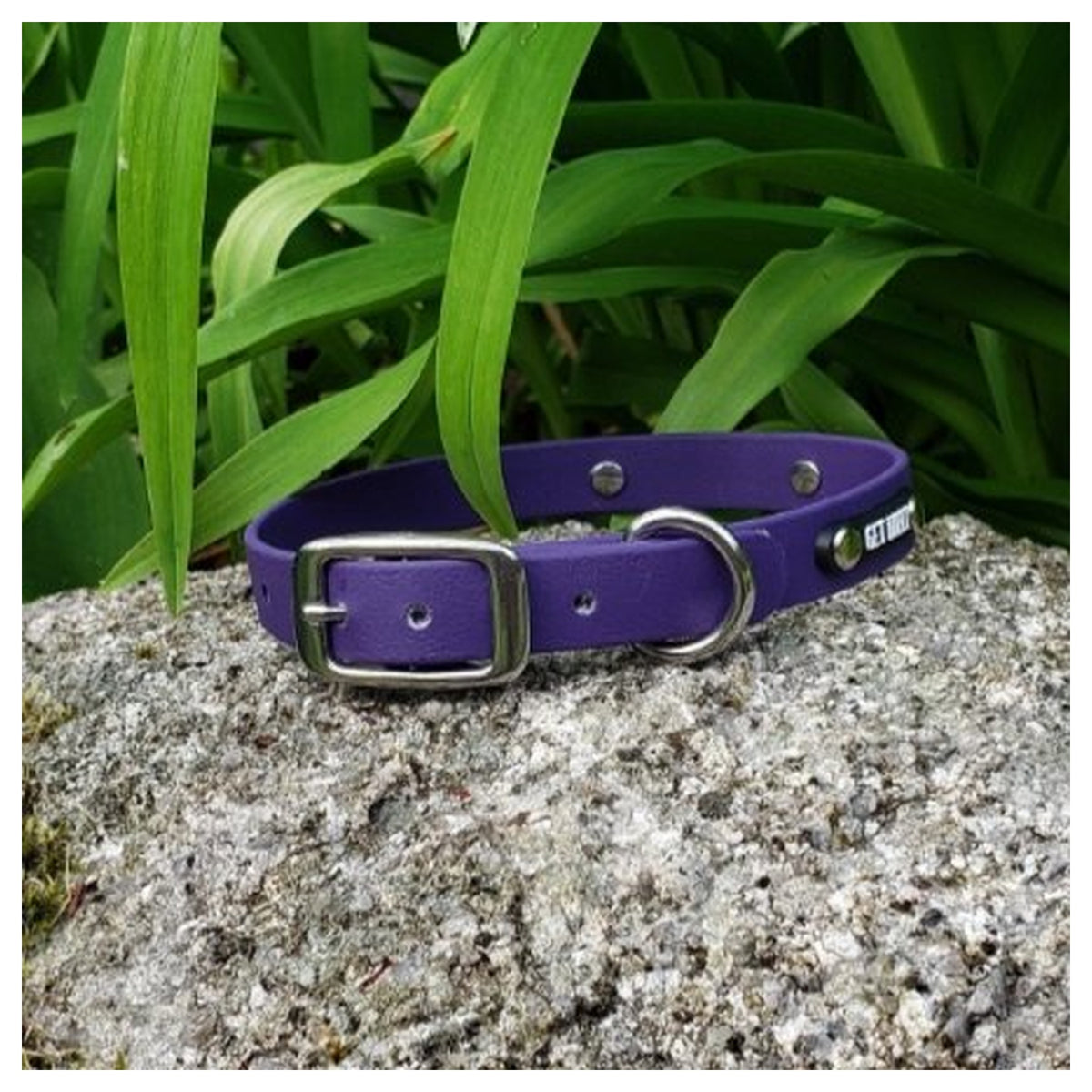 Get Dirty Pet Gear 5/8" Wide Traditional Buckle Biothane Dog Collar｜狗狗頸圈｜加拿大直送 產品細節圖 2