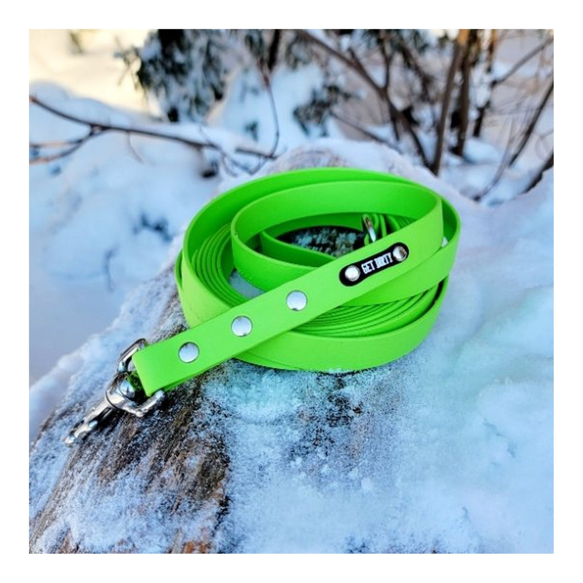 Get Dirty Pet Gear 3/4" Wide Traditional Bolt Snap Biothane Long Line｜狗帶｜加拿大直送 主產品圖