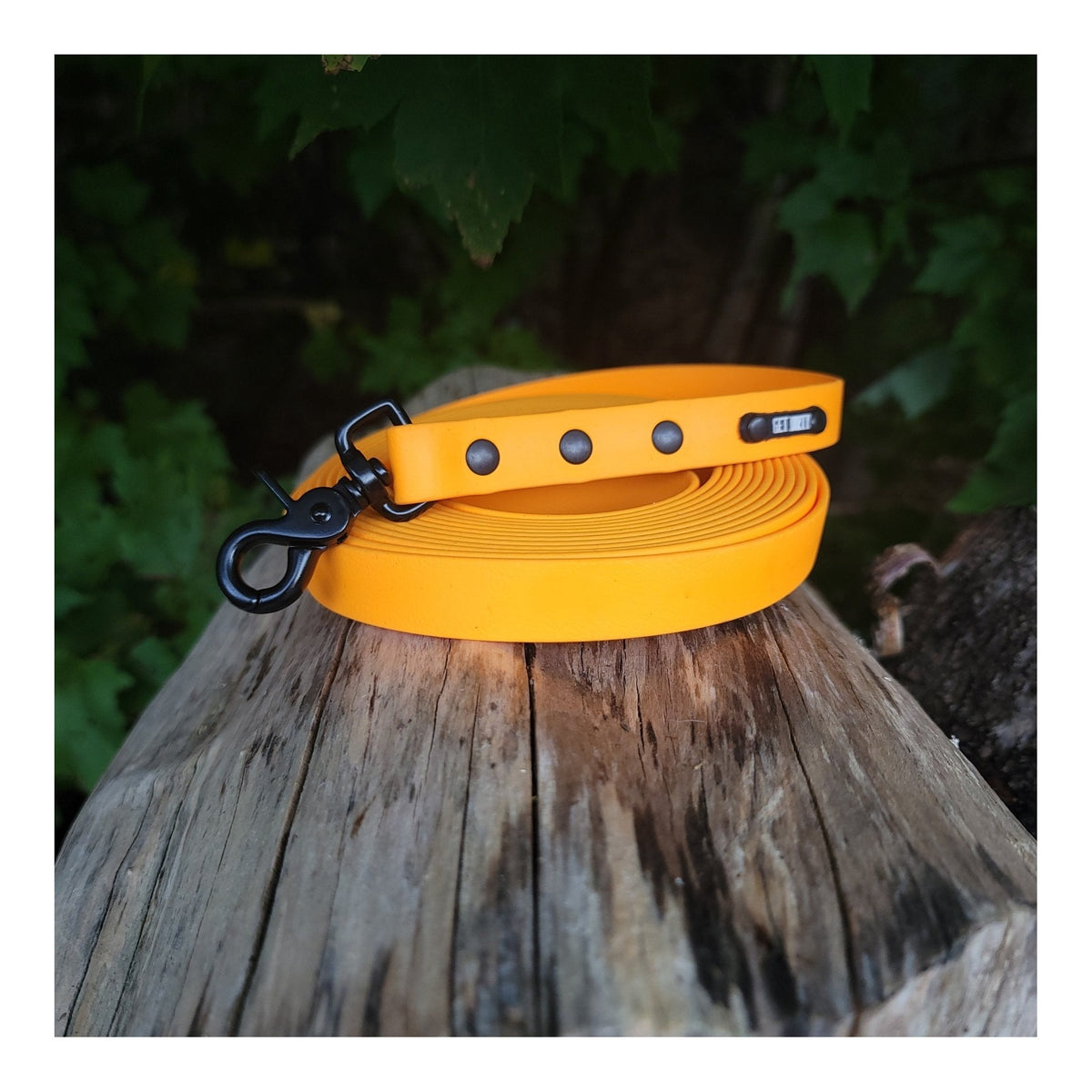 Get Dirty Pet Gear 3/4" Wide Quick Release Trigger Biothane Long Line｜狗帶｜加拿大直送 主產品圖