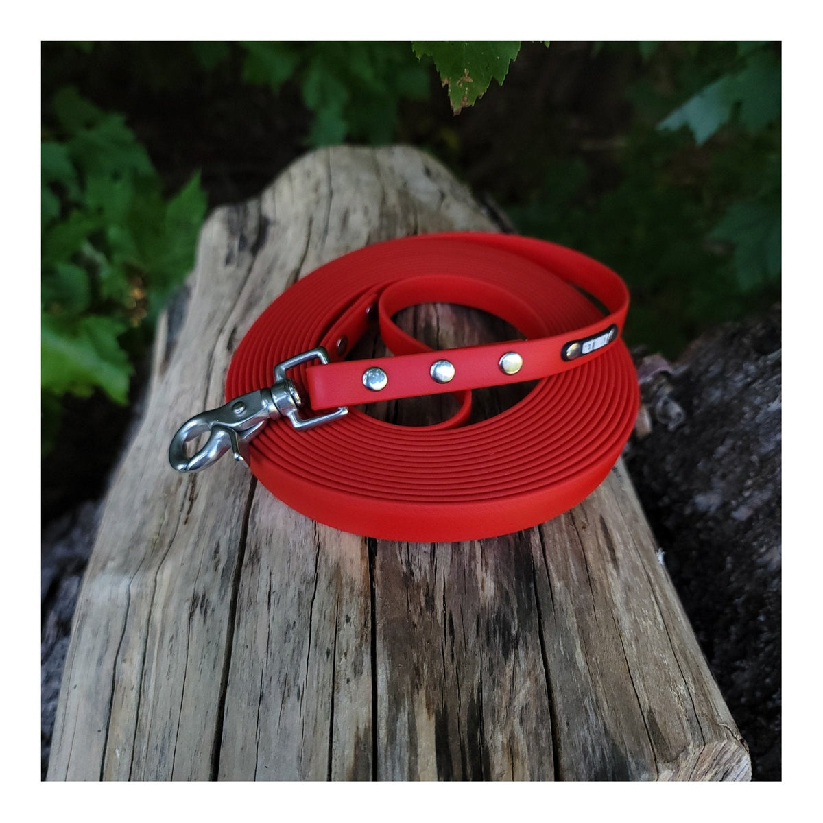 Get Dirty Pet Gear 5/8" Wide Quick Release Trigger Biothane Long Line｜狗帶｜加拿大直送 主產品圖