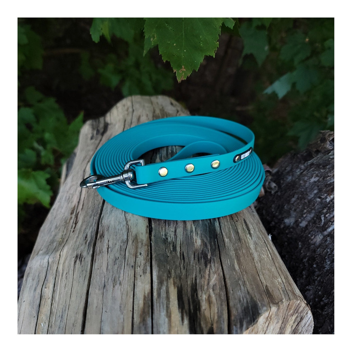 Get Dirty Pet Gear 5/8" Wide Traditional Bolt Snap Biothane Long Line｜狗帶｜加拿大直送 主產品圖
