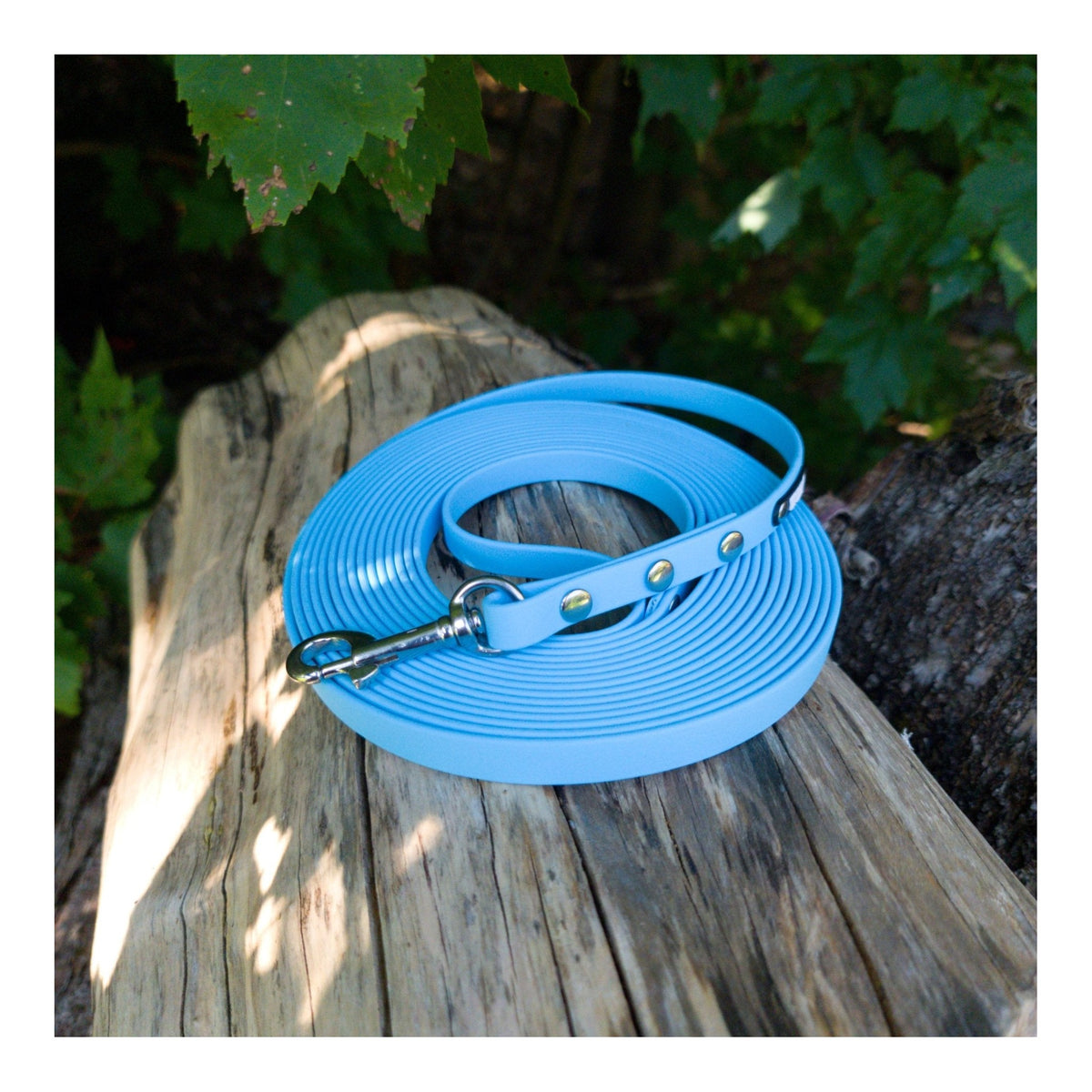 Get Dirty Pet Gear 1/2" Wide Traditional Bolt Snap Biothane Long Line｜狗帶｜加拿大直送 主產品圖