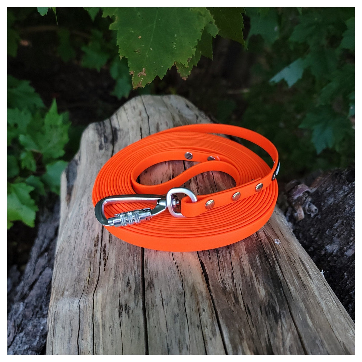 Get Dirty Pet Gear 1/2" Wide Adventure Carabiner Biothane Long Line｜狗帶｜加拿大直送 產品細節圖 4