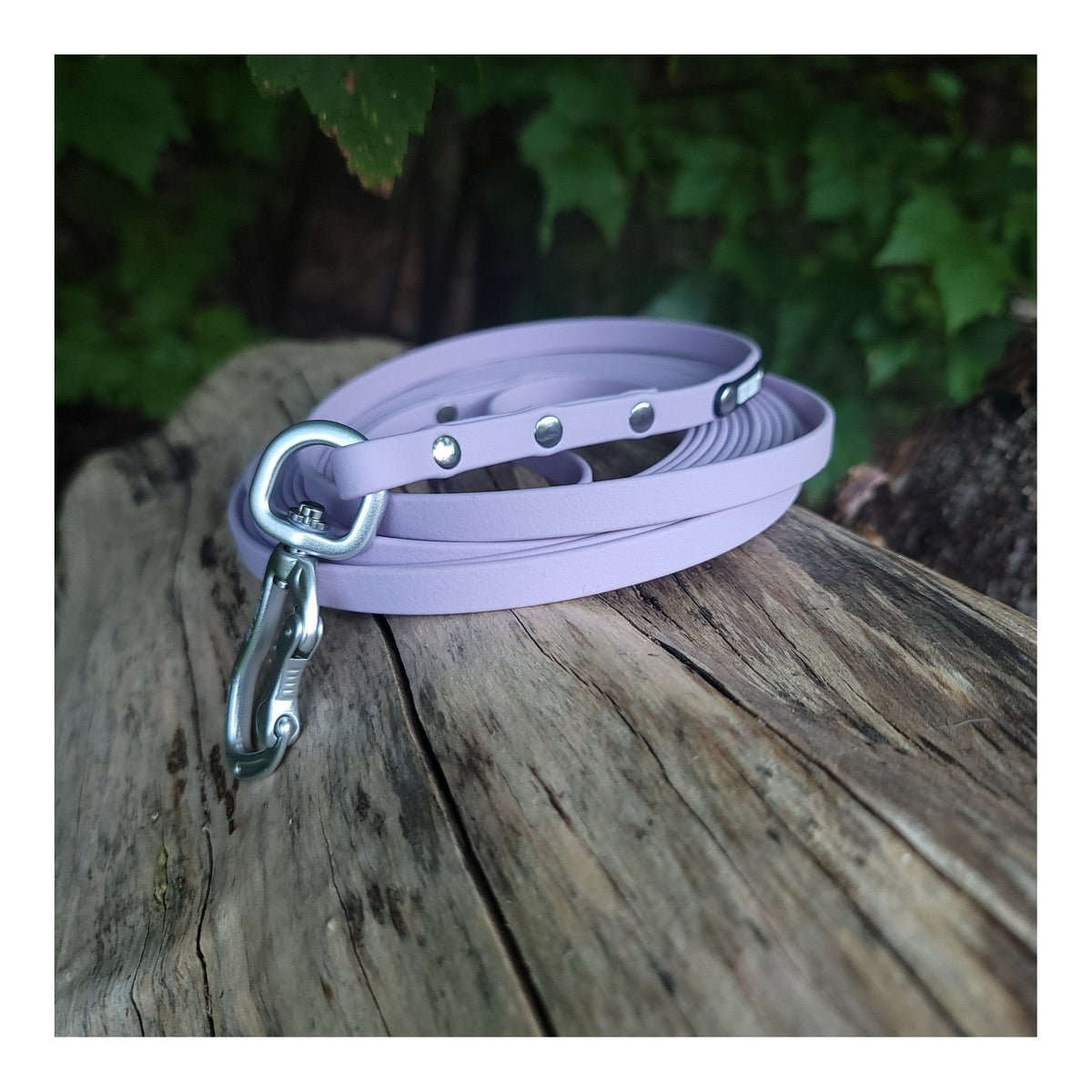 Get Dirty Pet Gear 3/8" Wide Adventure Carabiner Biothane Long Line｜狗帶｜加拿大直送 主產品圖