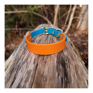 Get Dirty Pet Gear 1" Wide Tapered Down Traditional Buckle Biothane Collar｜狗狗頸圈｜加拿大直送-寵物頸圈-毛孩物語Pets Thing｜香港寵物貓狗用品專門店：IATA寵物飛機籠、寵物手推車、貓爬架貓樹
