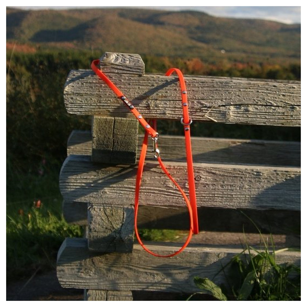 Get Dirty Pet Gear 3/8" Wide Traditional Bolt Snap Biothane Leash｜狗帶｜加拿大直送 產品細節圖 2