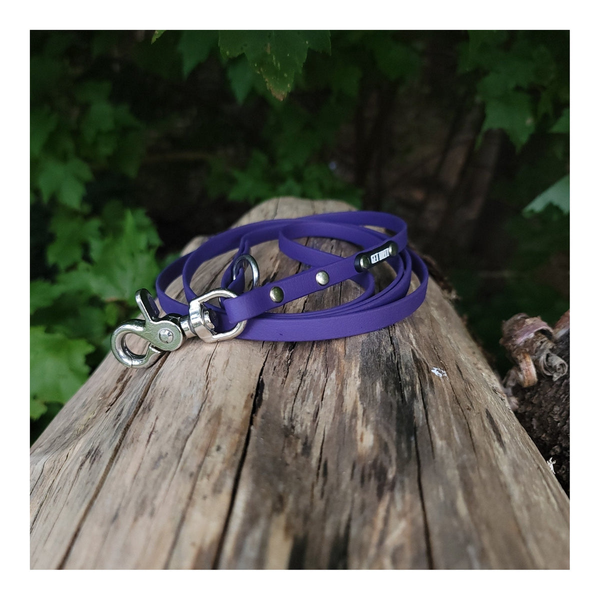 Get Dirty Pet Gear 3/8" Wide Quick Release Trigger Biothane Leash｜狗帶｜加拿大直送 主產品圖