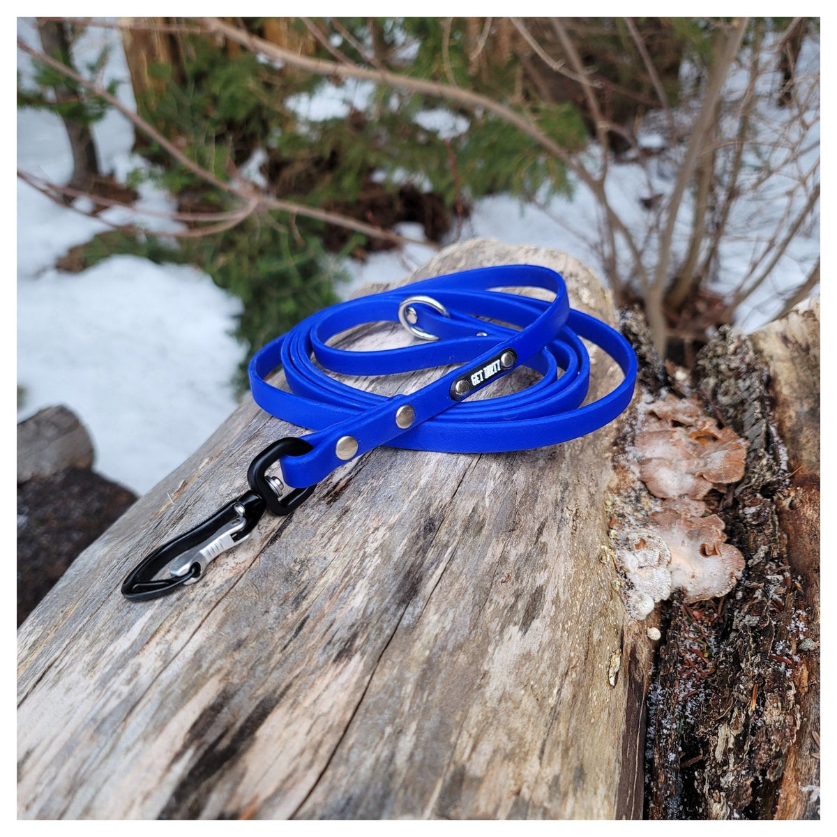 Get Dirty Pet Gear 1/2" Wide Adventure Carabiner Biothane Leash｜狗帶｜加拿大直送 產品細節圖 2