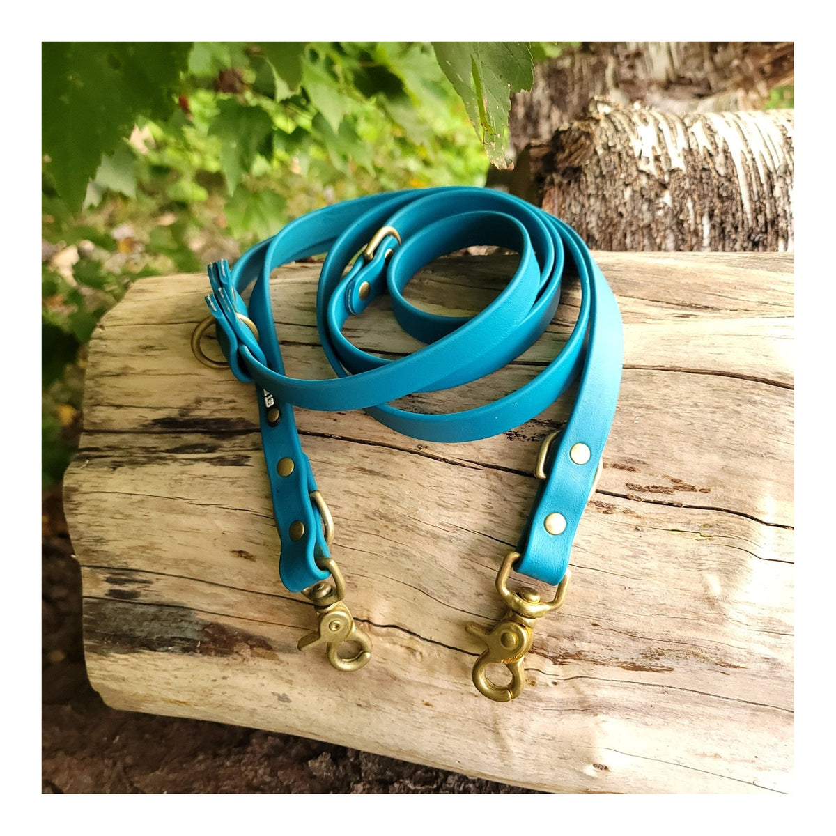 Get Dirty Pet Gear 3/4" Wide Traditional Trigger Snap Hands Free Leash｜狗帶｜加拿大直送 主產品圖