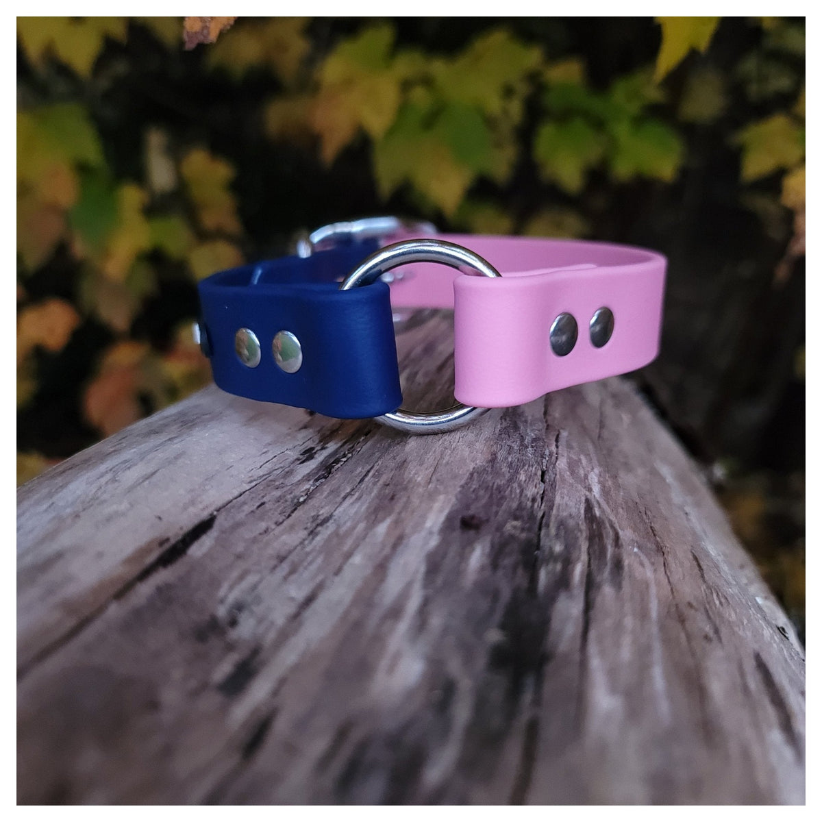 Get Dirty Pet Gear 1" Wide Biothane Safety Collar｜狗狗頸圈｜加拿大直送-寵物頸圈-毛孩物語Pets Thing｜香港寵物貓狗用品專門店：IATA寵物飛機籠、寵物手推車、貓爬架貓樹