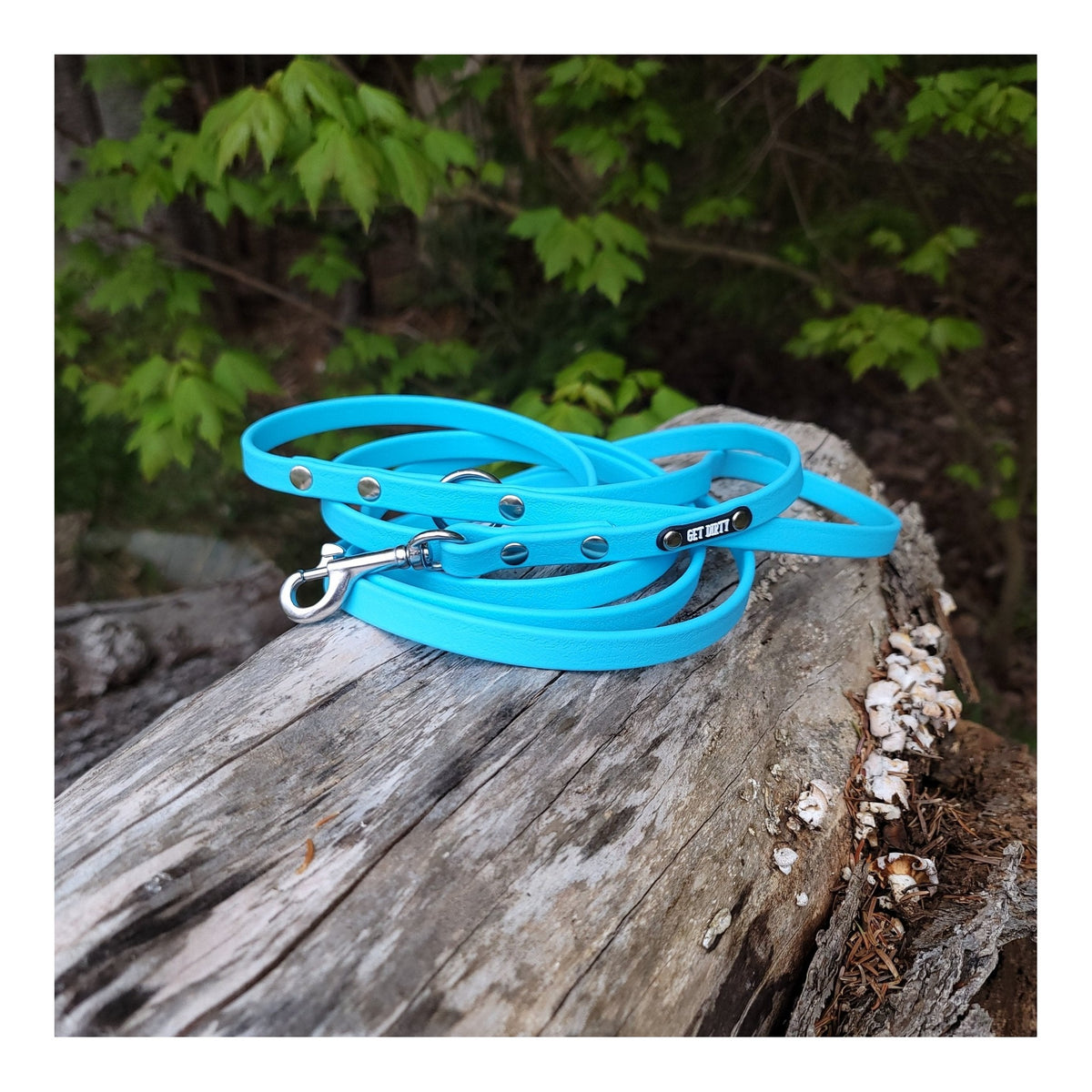 Get Dirty Pet Gear 1/2" Wide Traditional Bolt Snap Biothane Leash｜狗帶｜加拿大直送 主產品圖