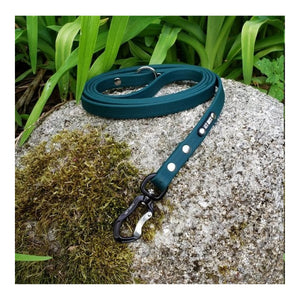 Get Dirty Pet Gear 5/8" Wide Adventure Carabiner Biothane Leash｜狗帶｜加拿大直送 主產品圖