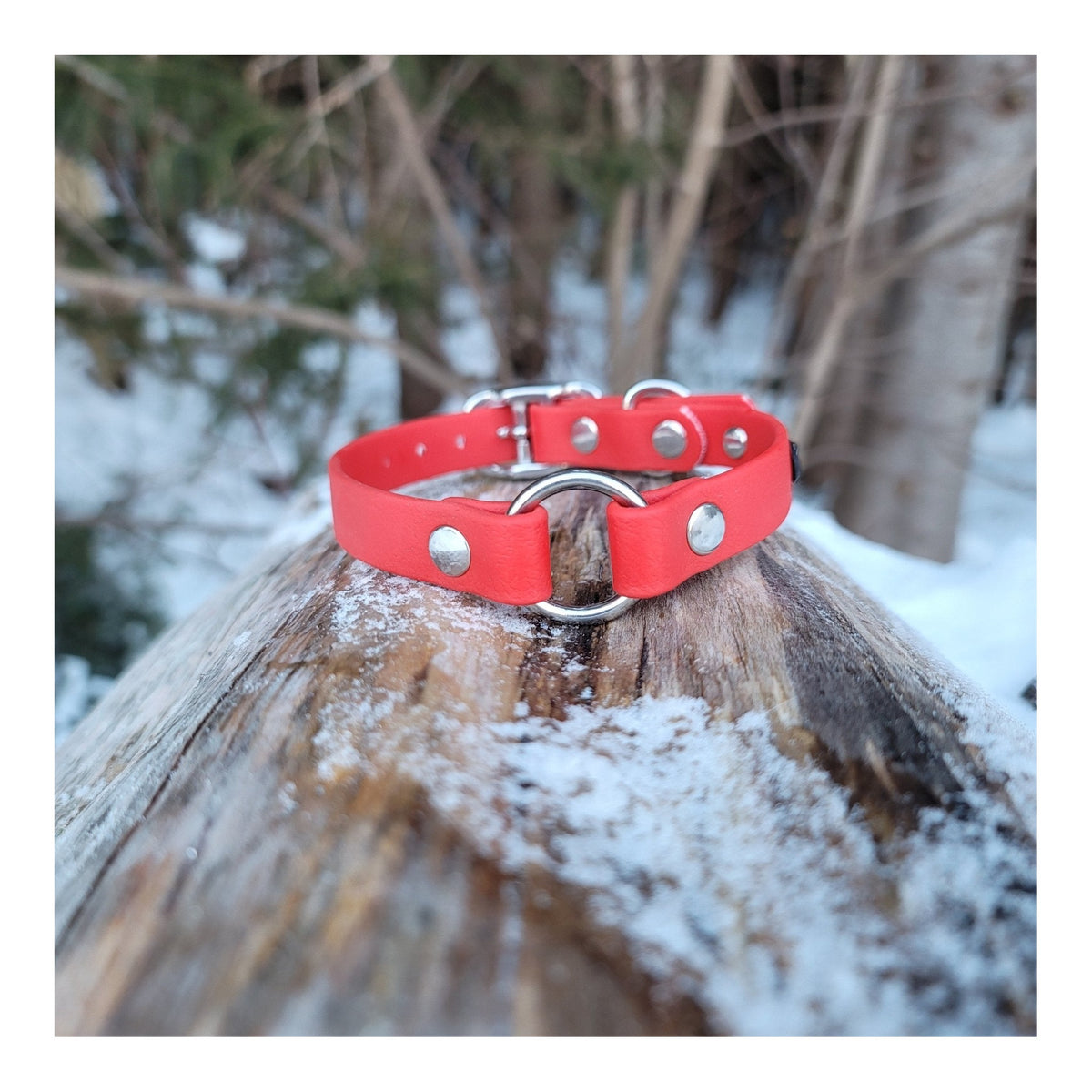 Get Dirty Pet Gear 5/8" Wide Biothane Safety Collar｜狗狗胸帶及戶外用品｜加拿大直送 主產品圖