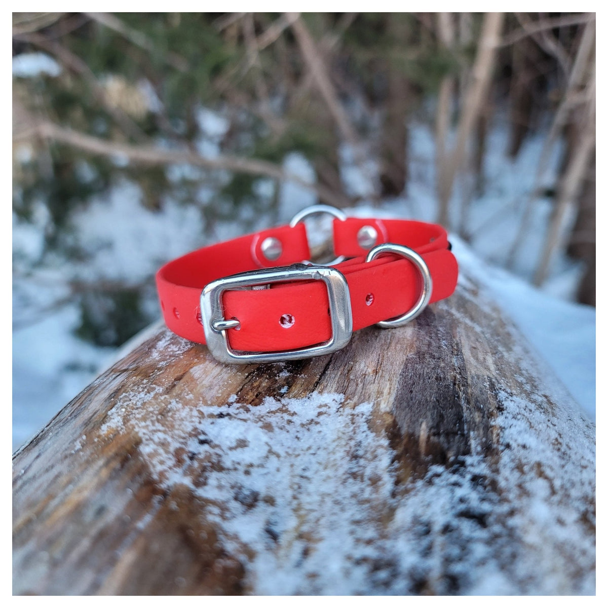 Get Dirty Pet Gear 5/8" Wide Biothane Safety Collar｜狗狗胸帶及戶外用品｜加拿大直送 產品細節圖 2