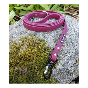 Get Dirty Pet Gear 3/4" Wide Adventure Carabiner Biothane Leash｜狗帶｜加拿大直送 主產品圖