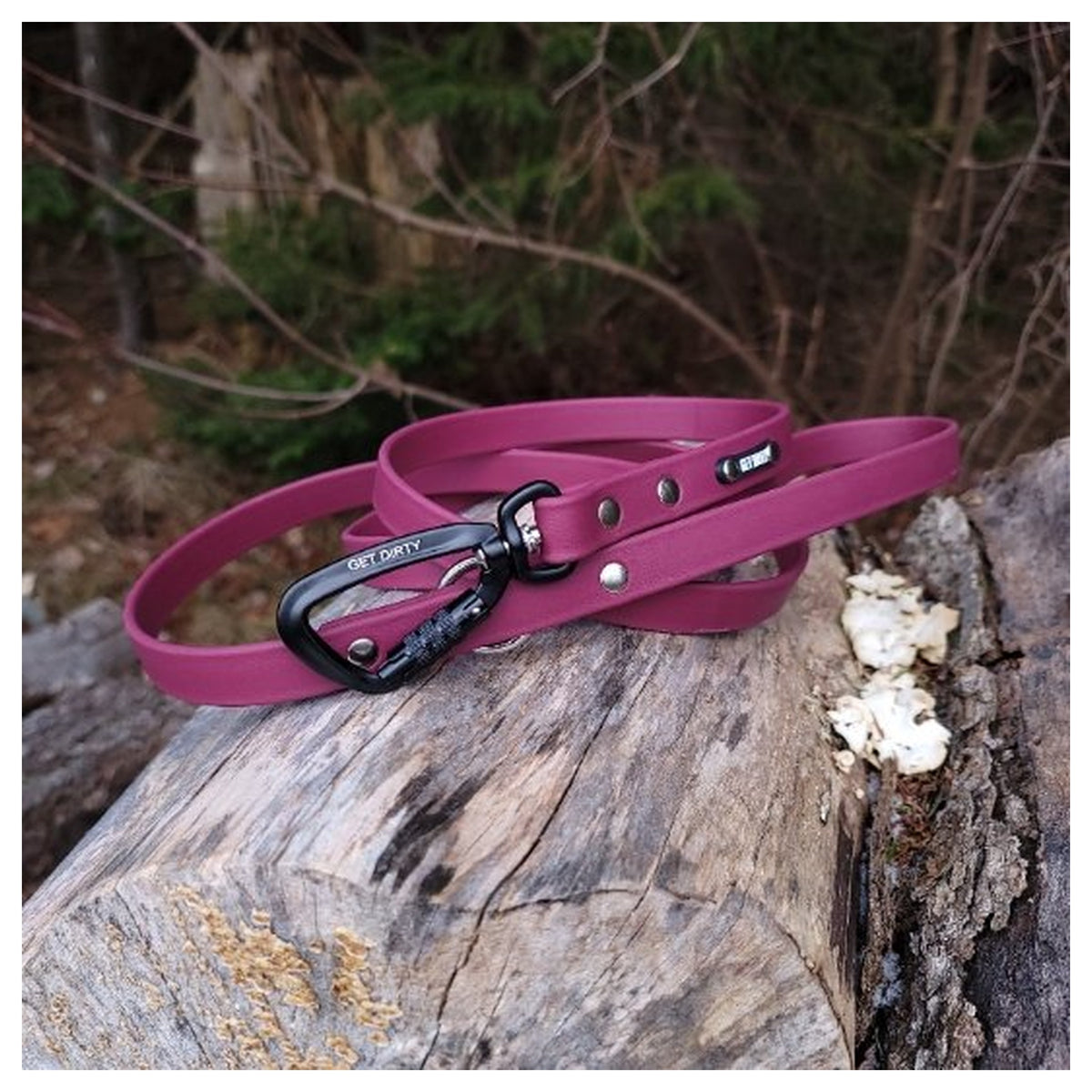 Get Dirty Pet Gear 3/4" Wide Adventure Carabiner Biothane Leash｜狗帶｜加拿大直送 產品細節圖 2