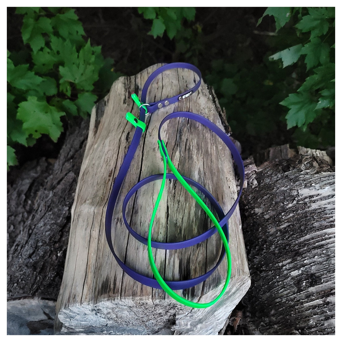 Get Dirty Pet Gear 1/2" Easy Fit Biothane Slip Leash｜狗帶｜加拿大直送-寵物牽引繩-毛孩物語Pets Thing｜香港寵物貓狗用品專門店：IATA寵物飛機籠、寵物手推車、貓爬架貓樹