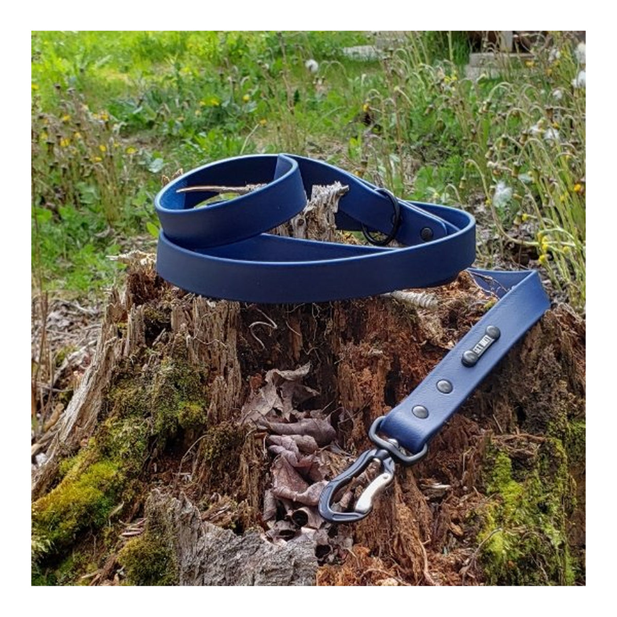 Get Dirty Pet Gear 1" Wide Adventure Carabiner Biothane Leash｜狗帶｜加拿大直送 主產品圖