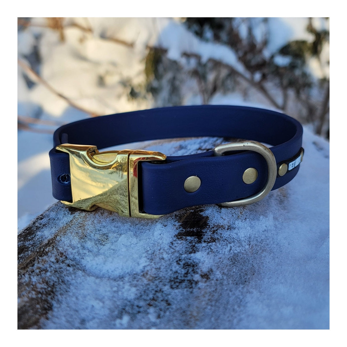 Get Dirty Pet Gear 1" Wide Quick Release Biothane Collar｜狗狗頸圈｜加拿大直送 主產品圖