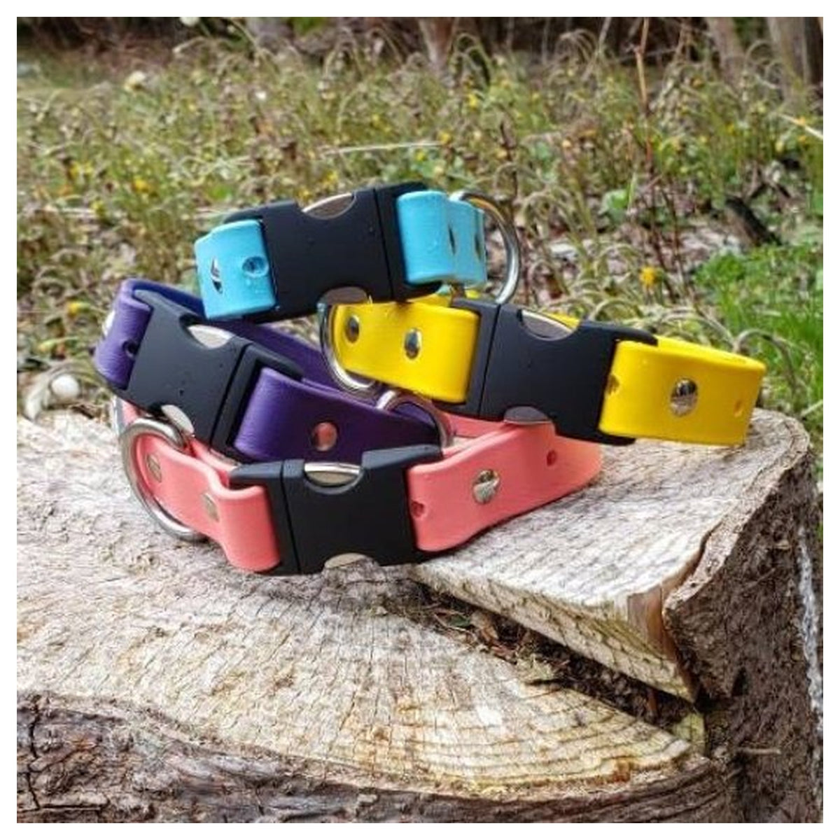Get Dirty Pet Gear 1" Wide Quick Release Biothane Collar｜狗狗頸圈｜加拿大直送 產品細節圖 2