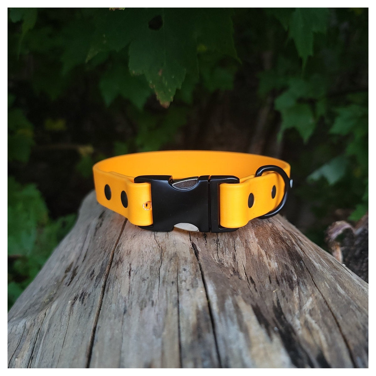 Get Dirty Pet Gear 1" Wide Quick Release Biothane Collar｜狗狗頸圈｜加拿大直送-寵物頸圈-毛孩物語Pets Thing｜香港寵物貓狗用品專門店：IATA寵物飛機籠、寵物手推車、貓爬架貓樹