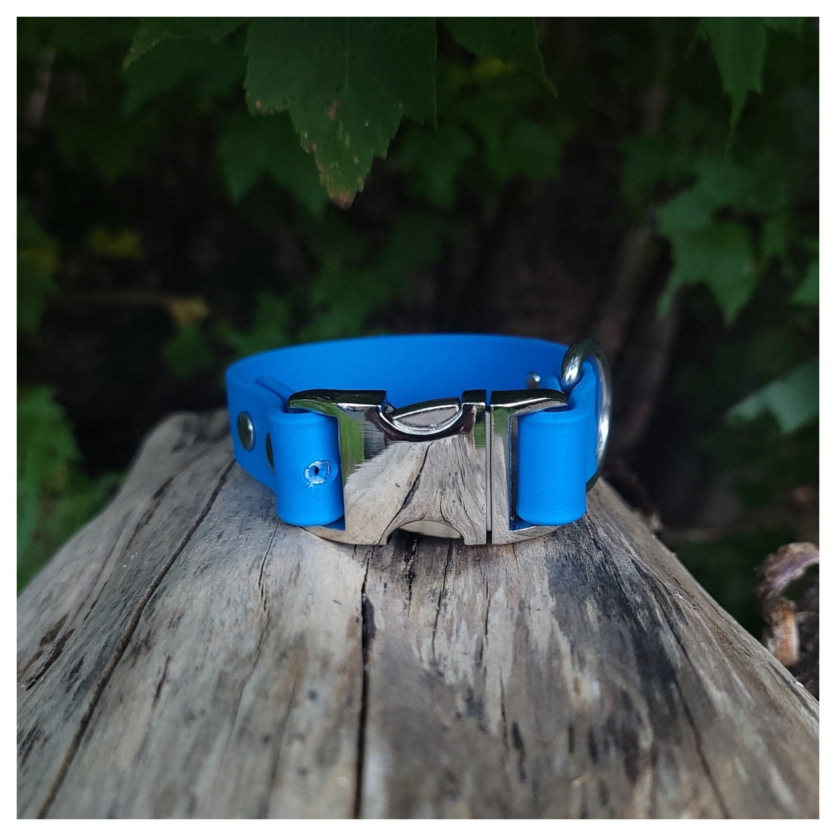 Get Dirty Pet Gear 1" Wide Quick Release Biothane Collar｜狗狗頸圈｜加拿大直送-寵物頸圈-毛孩物語Pets Thing｜香港寵物貓狗用品專門店：IATA寵物飛機籠、寵物手推車、貓爬架貓樹