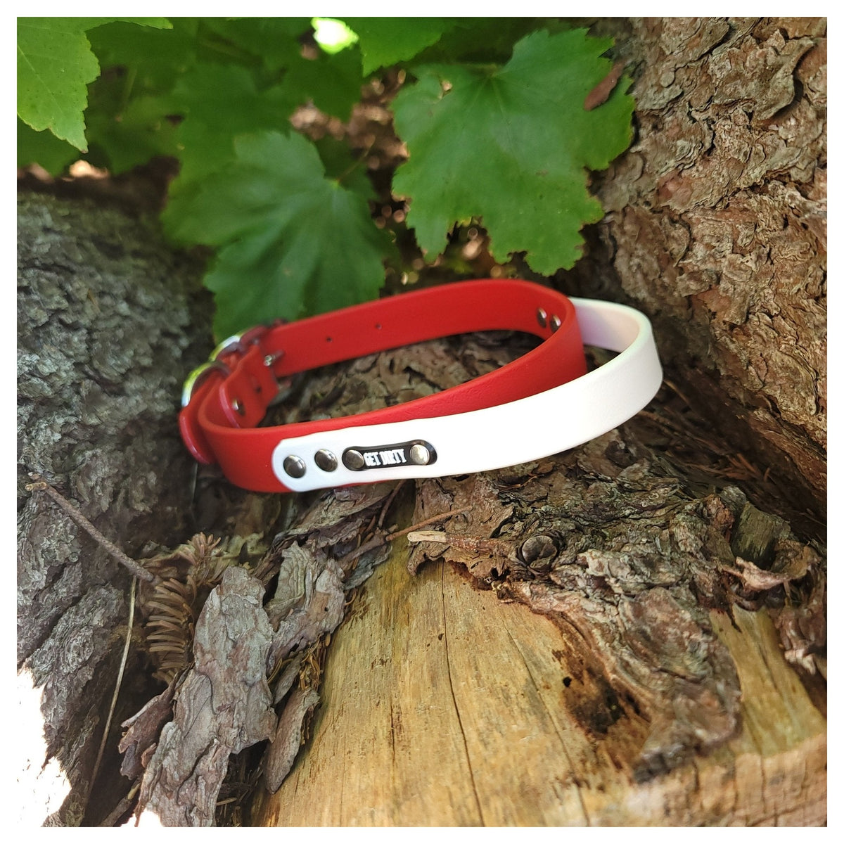 Get Dirty Pet Gear 1" Wide Work & Sport Biothane Dog Collar with Handle｜狗狗頸圈｜加拿大直送 產品細節圖 3