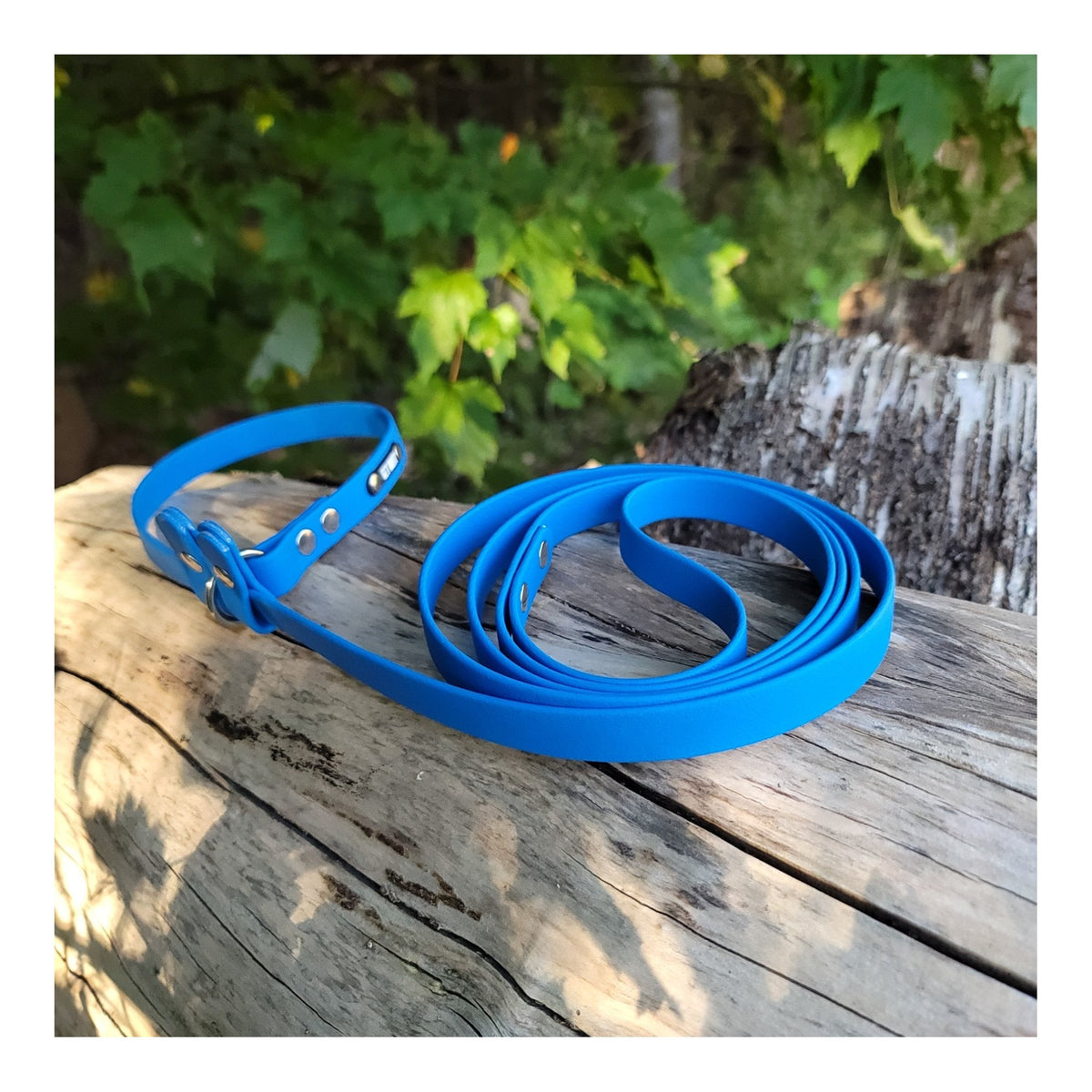 Get Dirty Pet Gear 5/8" Easy Fit Biothane Slip Leash｜狗帶｜加拿大直送-寵物牽引繩-毛孩物語Pets Thing｜香港寵物貓狗用品專門店：IATA寵物飛機籠、寵物手推車、貓爬架貓樹