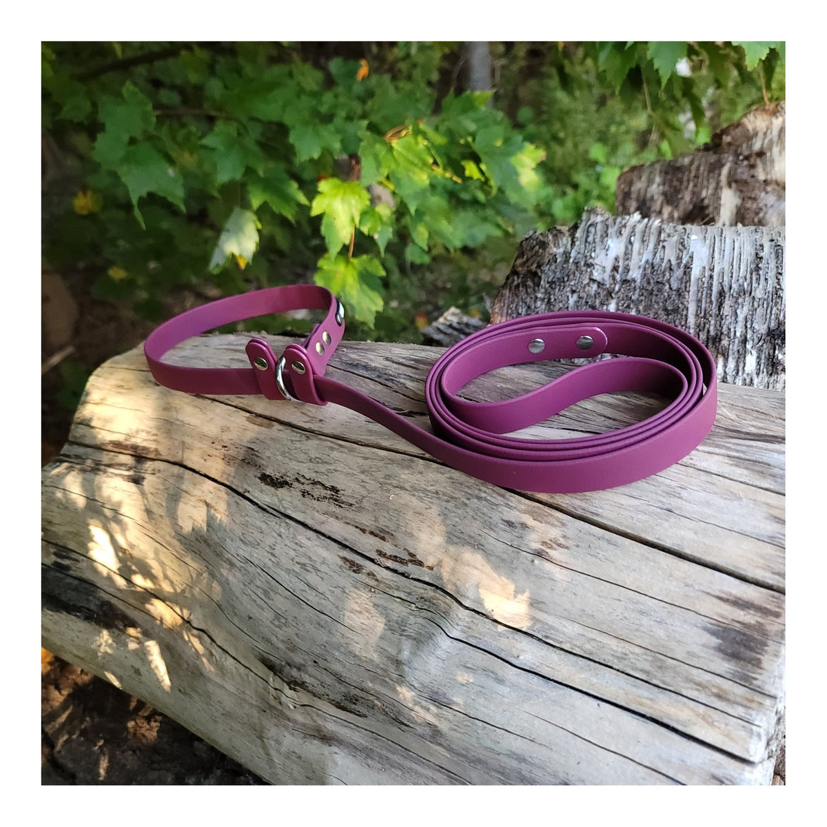 Get Dirty Pet Gear 3/4" Easy Fit Biothane Slip Leash｜狗帶｜加拿大直送-寵物牽引繩-毛孩物語Pets Thing｜香港寵物貓狗用品專門店：IATA寵物飛機籠、寵物手推車、貓爬架貓樹