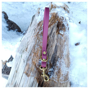 Get Dirty Pet Gear 5/8" Wide Traditional Bolt Snap Biothane Traffic Leash｜狗帶｜加拿大直送 產品細節圖 2